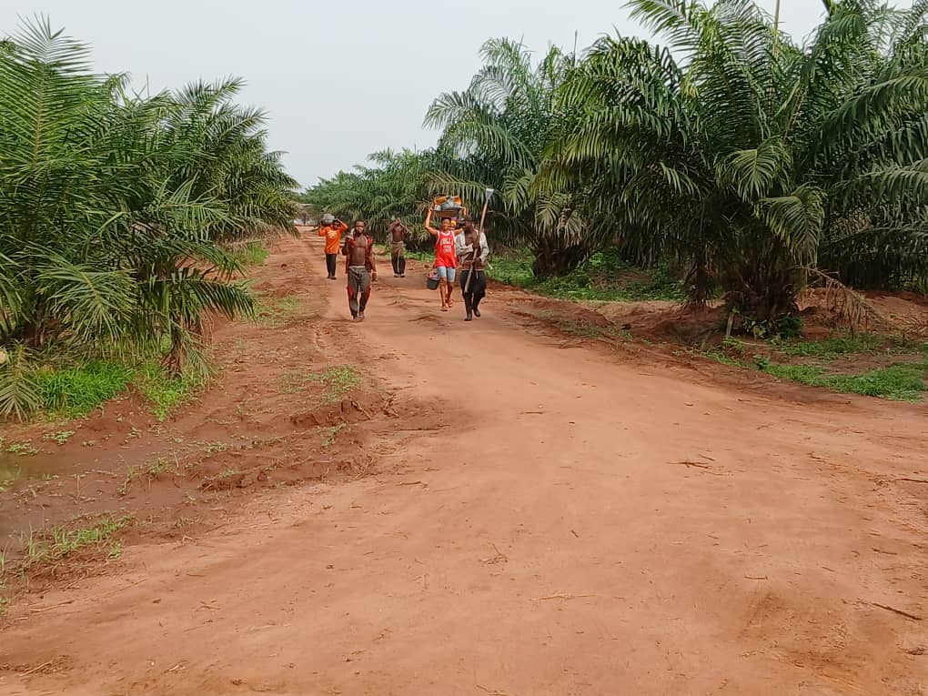 Bragav farm workers heading out with harvesting tools and fruit
