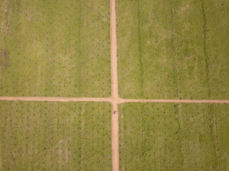 Overhead view of the plantation blocks and access roads